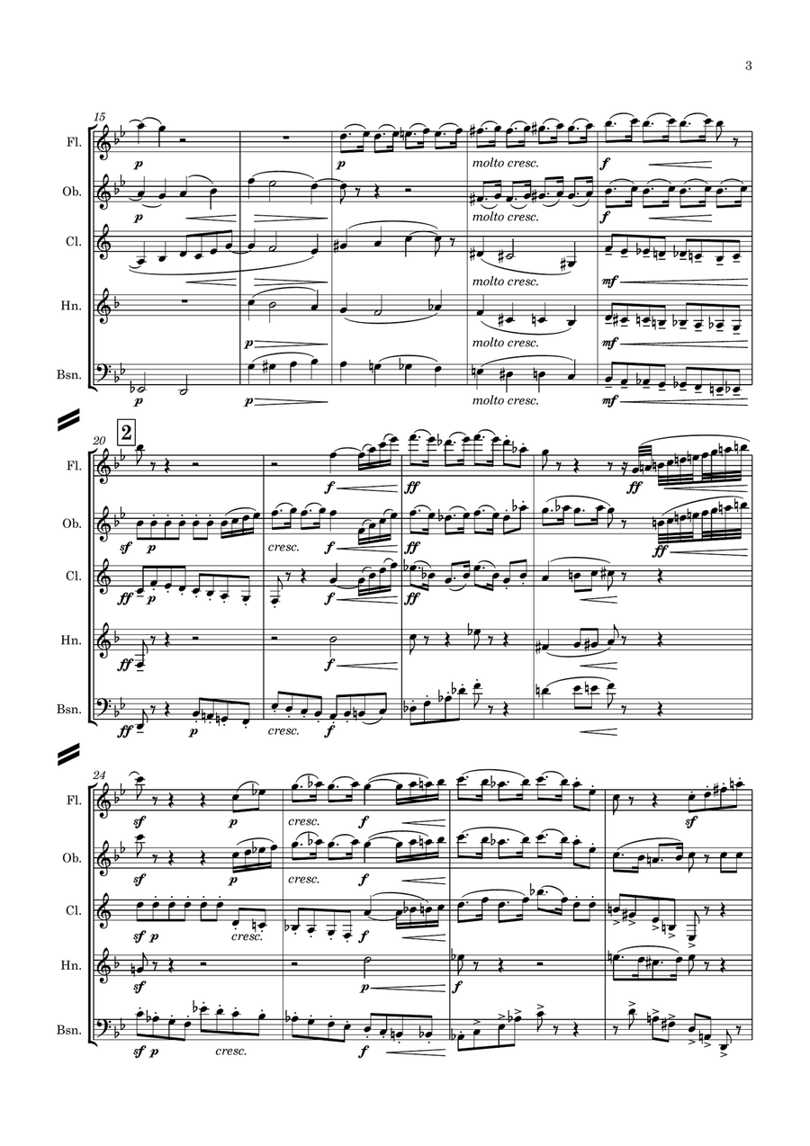 Elgar: The Wand of Youth Suite No.1 Op.1a I.Overture - wind quintet Woodwind Quintet scores gallery preview page 3