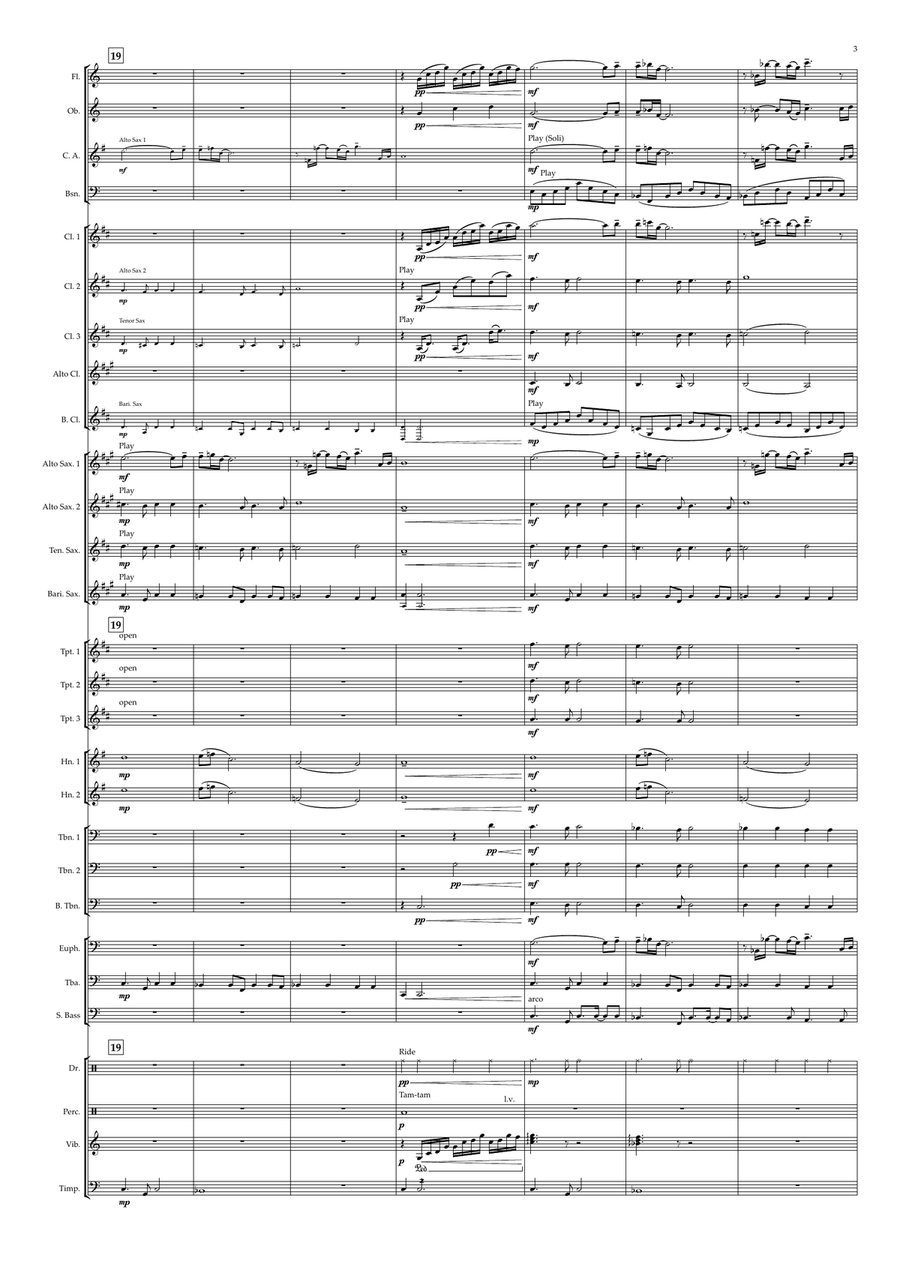The Man With The Child In His Eyes Concert Band scores gallery preview page 3