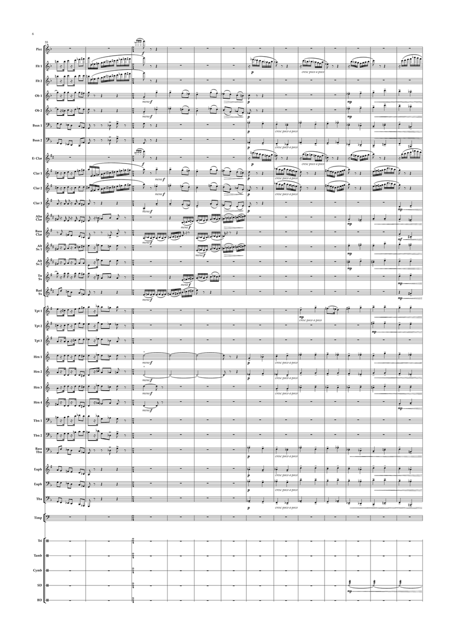 Taras Bulba - Overture Concert Band scores gallery preview page 6