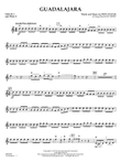 Guadalajara (arr. Juan Ortiz) - Violin 3