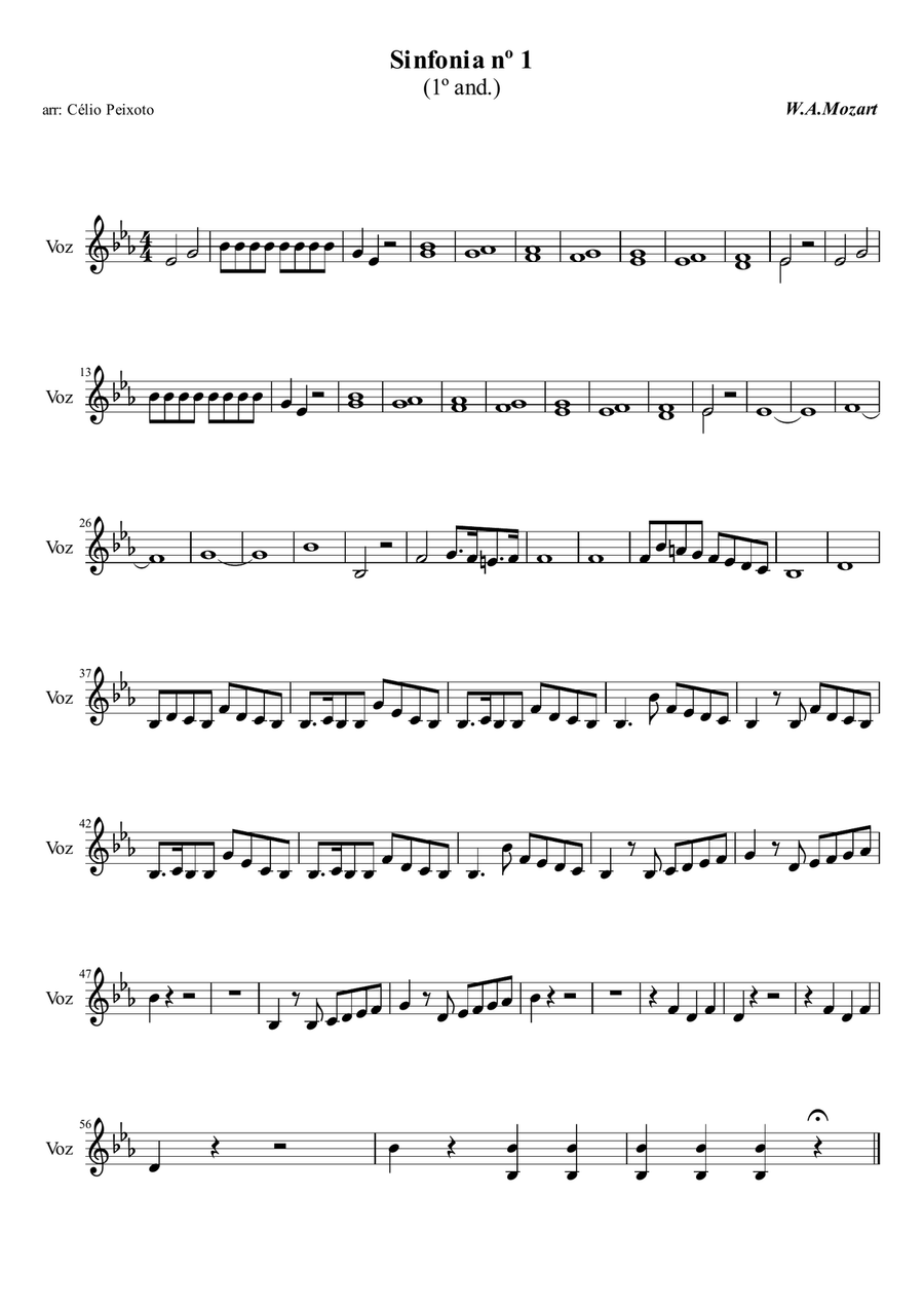 Symphony no.1 (1st movement) Piano, Vocal scores gallery preview page 1