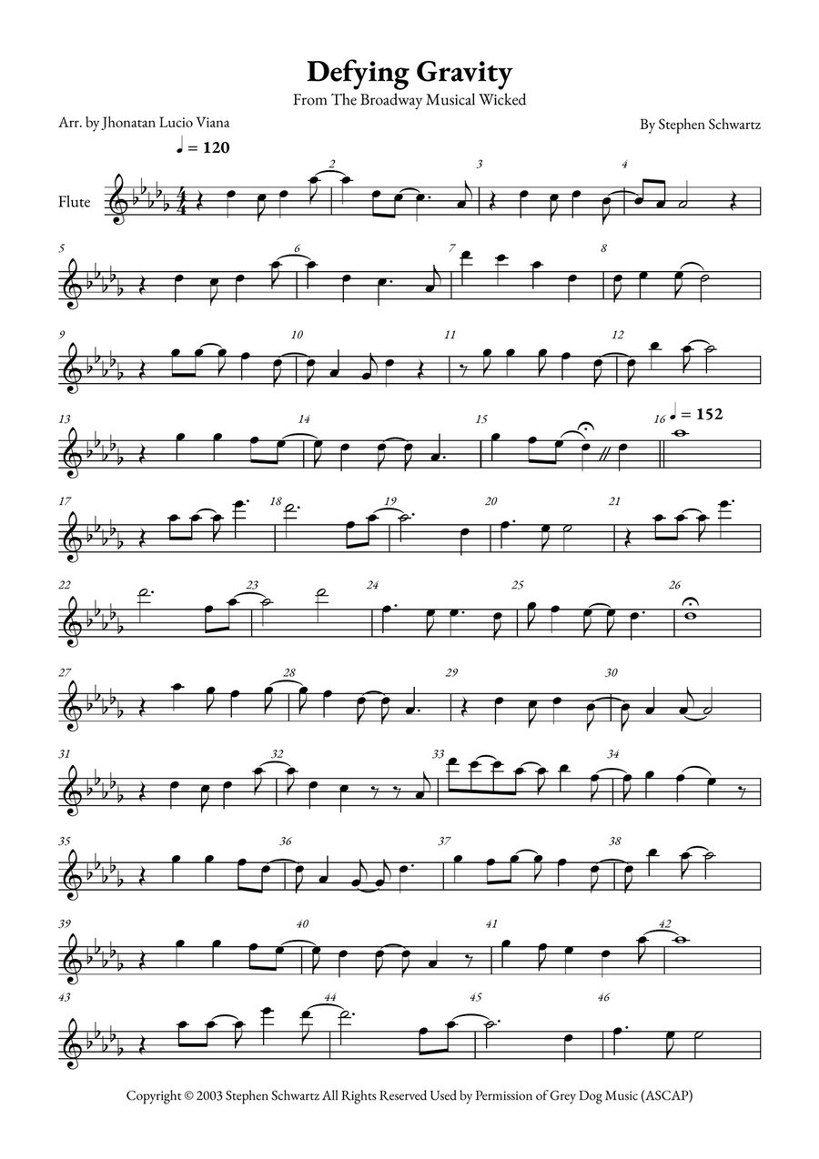Defying Gravity Flute Solo scores gallery preview page 1