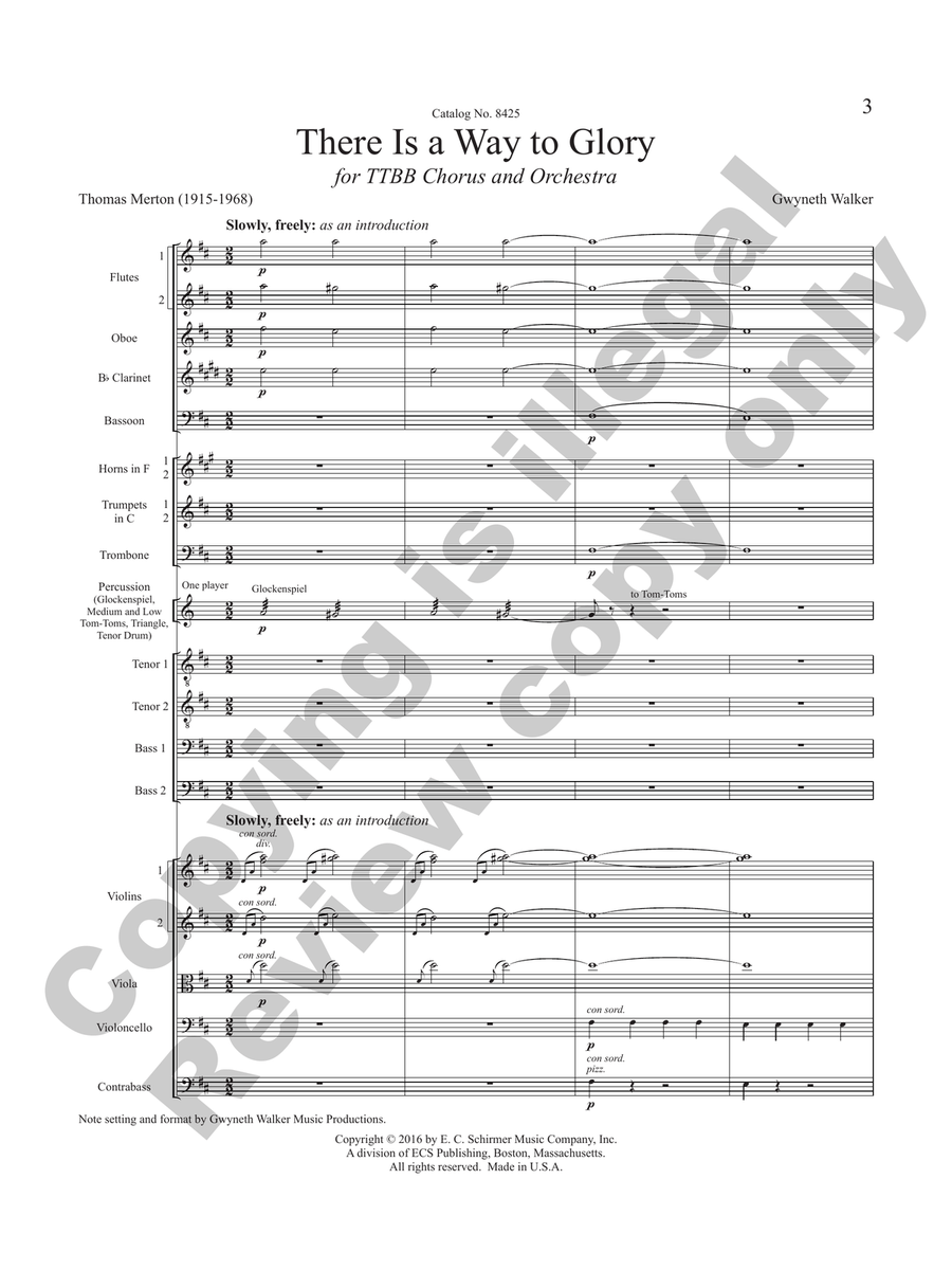 There Is a Way to Glory (Chamber Orchestra Full Score) Chamber Orchestra scores gallery preview page 3