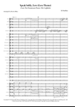 Speak Softly, Love (Love Theme)