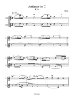 Andante in C for 2 flutes duet