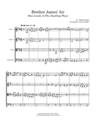 Brother James'Air String Quartet scores gallery preview page 3