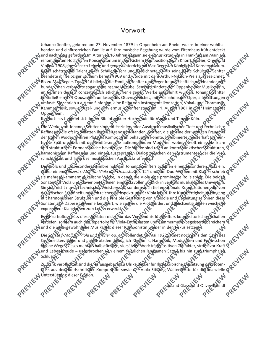 Sonata F minor Sonata F minor Piano Accompaniment scores gallery preview page 4