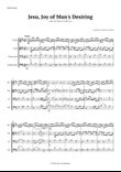 Jesu, Joy of Man's Desiring by Bach for String Ensemble