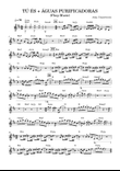 Tú és + Águas purificadoras - Partitura com cifra