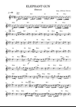 Elephant Gun - Partitura com cifra