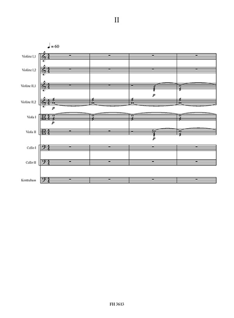 Streicher pur / Partitur Streicher pur / Partitur String Orchestra scores gallery preview page 2