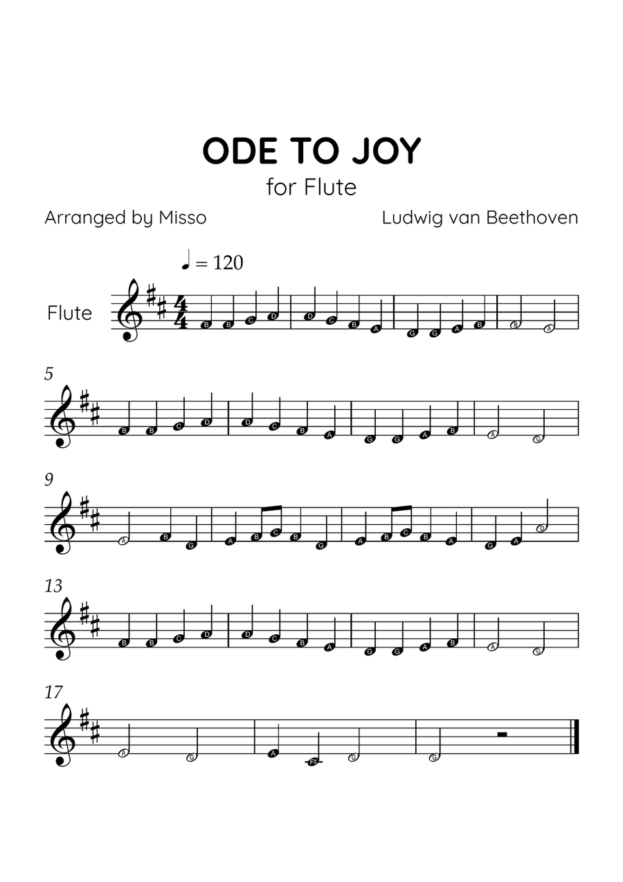 Ode to Joy - Flute in D Major - Beginner Level Letter Names - Sheet Music Flute Solo scores gallery preview page 1