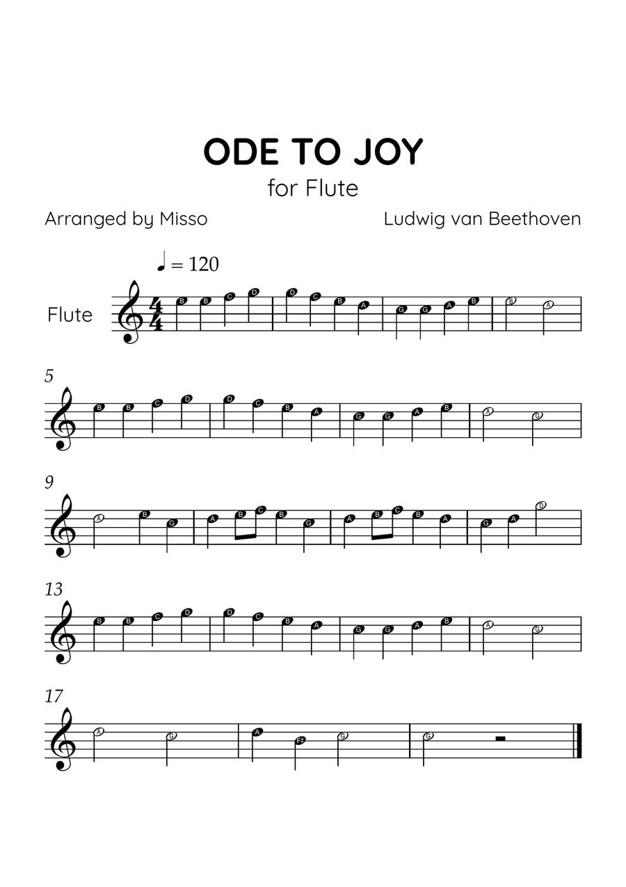 Ode to Joy - Flute in C Major - Beginner Level Letter Names - Sheet Music Flute Solo scores gallery preview page 1