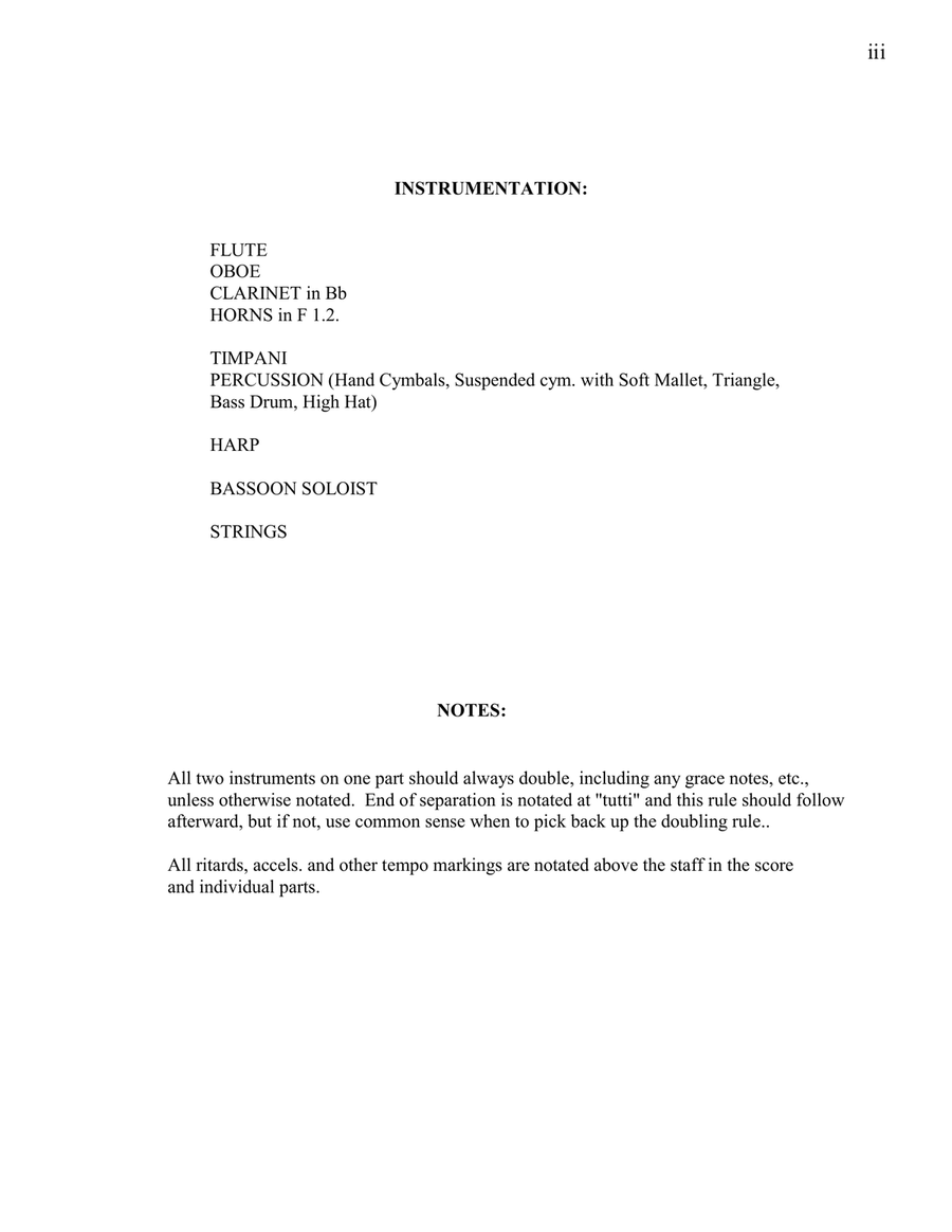 Bassoon Concerto No. 1 for Bassoon Soloist and Orchestra in 2 Movements, Full Score - Score Only Chamber Orchestra scores gallery preview page 3