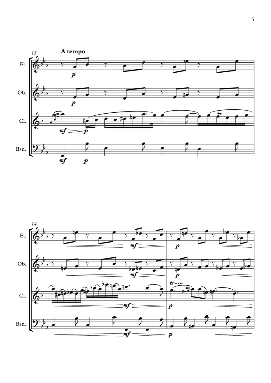 Chopin - Nocturne - Op.9 No. 2 - Woodwind Quartet Woodwind Quartet scores gallery preview page 5