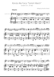 Turkish March - Clarinet Solo w/ Piano