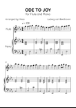 Ode to Joy - Flute and Piano in Eb Major - Beginner Level - Sheet Music