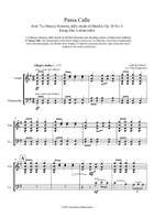Passa Calle from La Musica Notturna delle strade di Madrid Op 30 No. 6 arr. Arr String duo(Vln/Vlc) String Duet scores gallery preview page 3