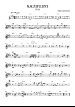 Magnificent - Partitura com cifra