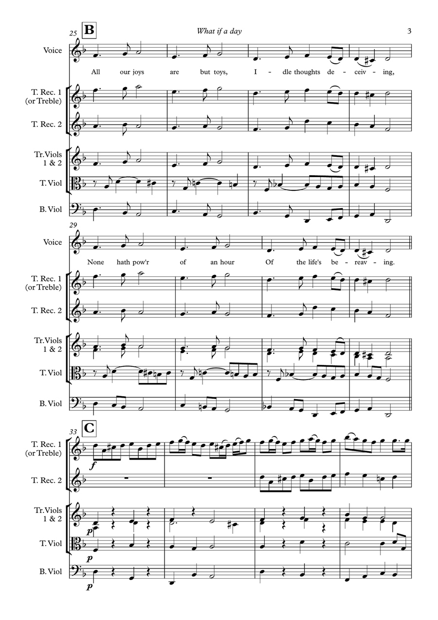 What if a day (for voice and ensemble) Small Ensemble scores gallery preview page 5