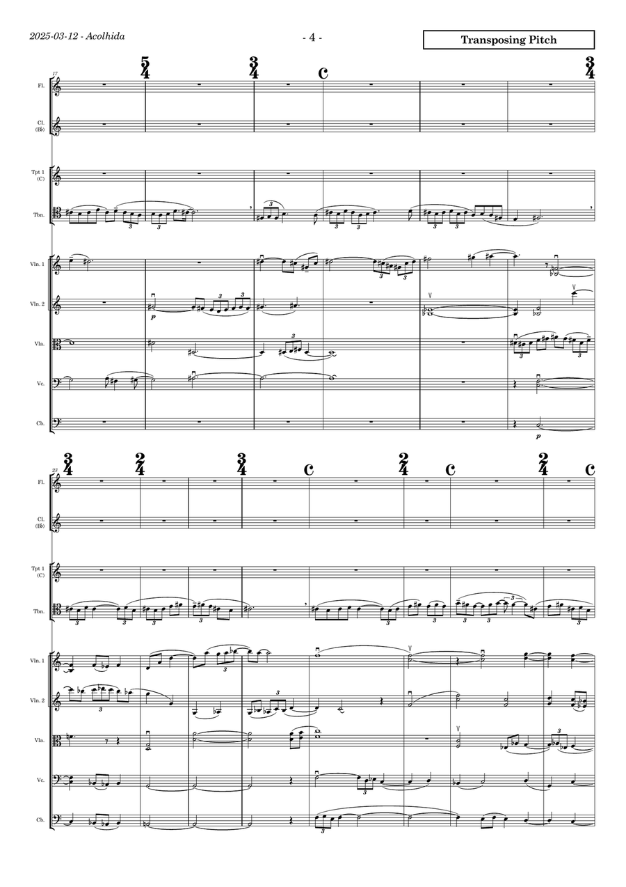 Partita jubilar for chamber orchestra (flute, clarinet, 3 trumpets, trombone, strings) Chamber Orchestra scores gallery preview page 4