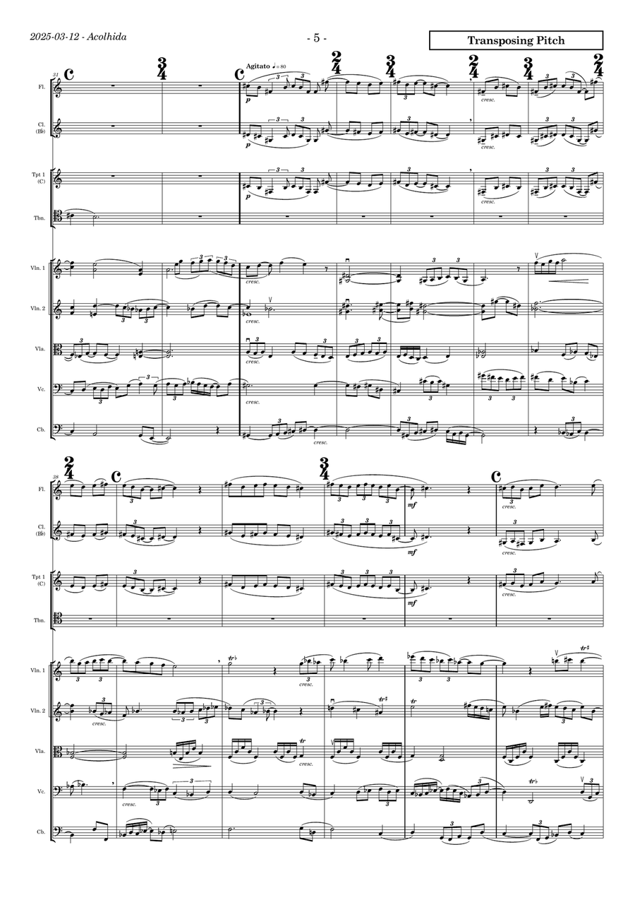 Partita jubilar for chamber orchestra (flute, clarinet, 3 trumpets, trombone, strings) Chamber Orchestra scores gallery preview page 5