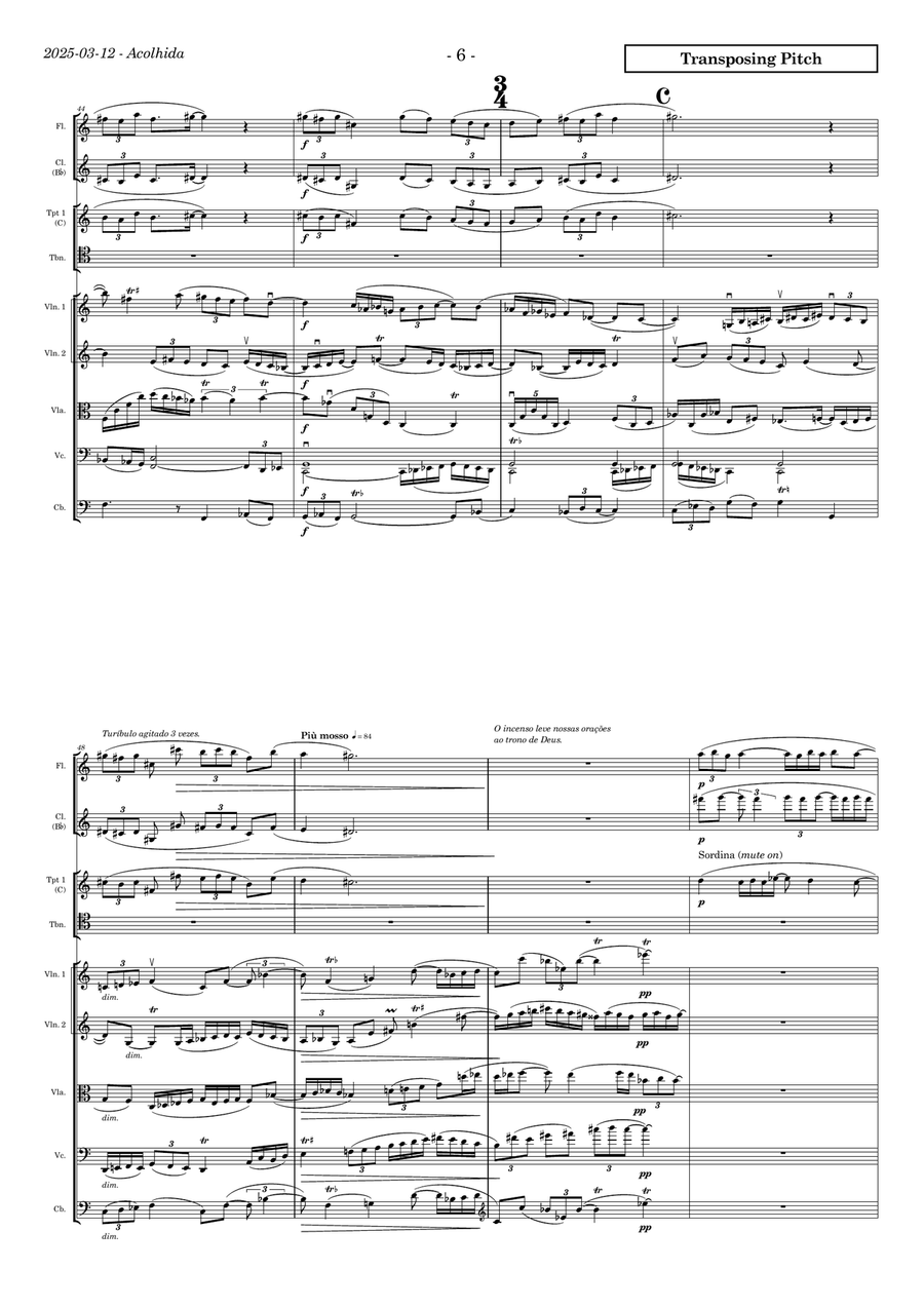 Partita jubilar for chamber orchestra (flute, clarinet, 3 trumpets, trombone, strings) Chamber Orchestra scores gallery preview page 6