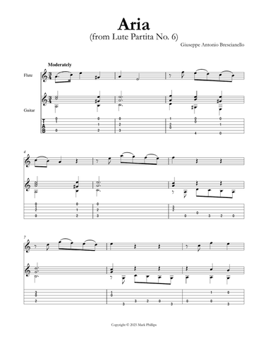 Aria (from Lute Partita No. 6)
