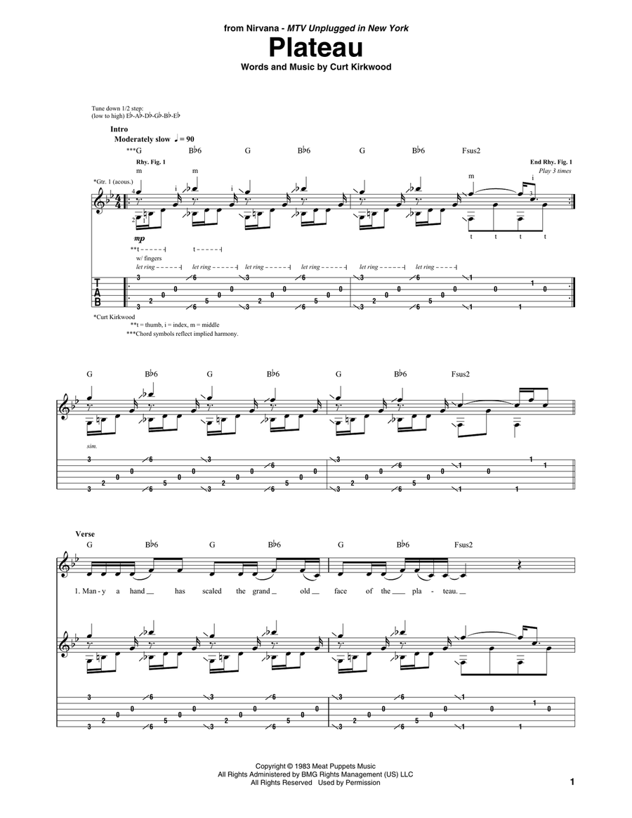 Plateau Plateau Guitar Tablature scores gallery preview page 1