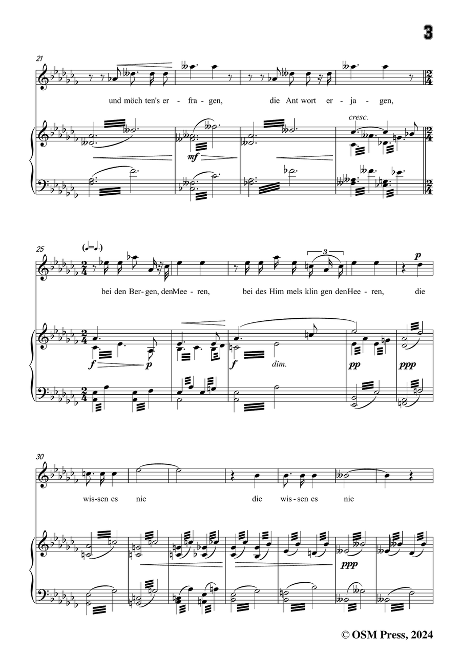 H. Wolf-Lied vom Winde,in a flat minor Piano, Vocal scores gallery preview page 5
