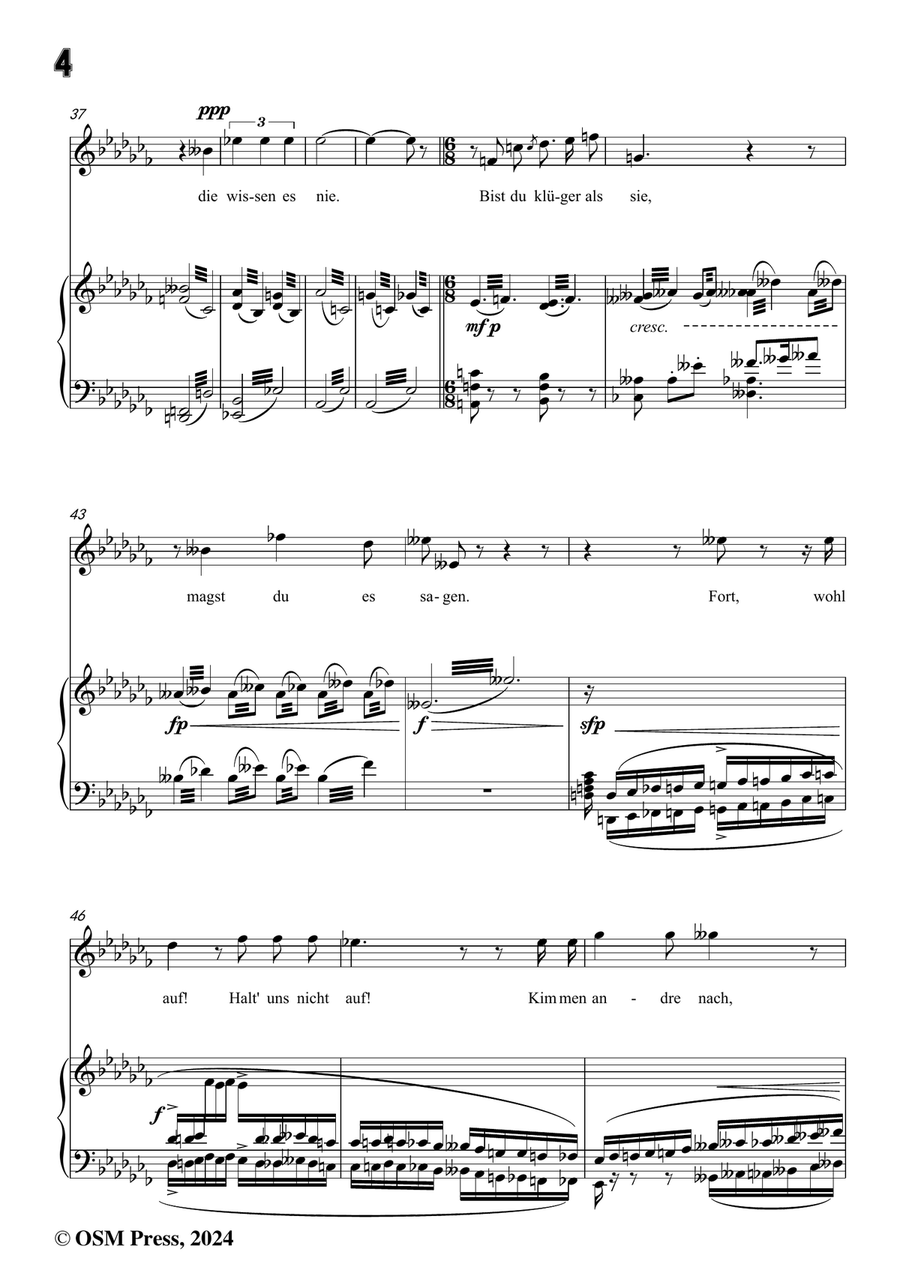 H. Wolf-Lied vom Winde,in a flat minor Piano, Vocal scores gallery preview page 6