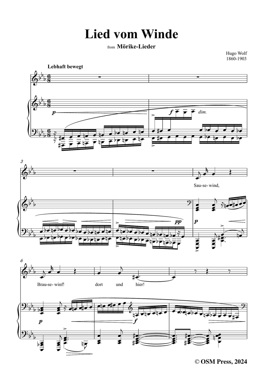 H. Wolf-Lied vom Winde,in c minor Piano, Vocal scores gallery preview page 3