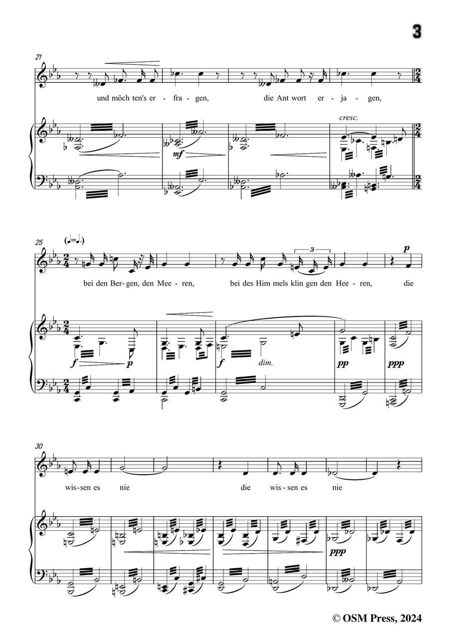 H. Wolf-Lied vom Winde,in c minor Piano, Vocal scores gallery preview page 5