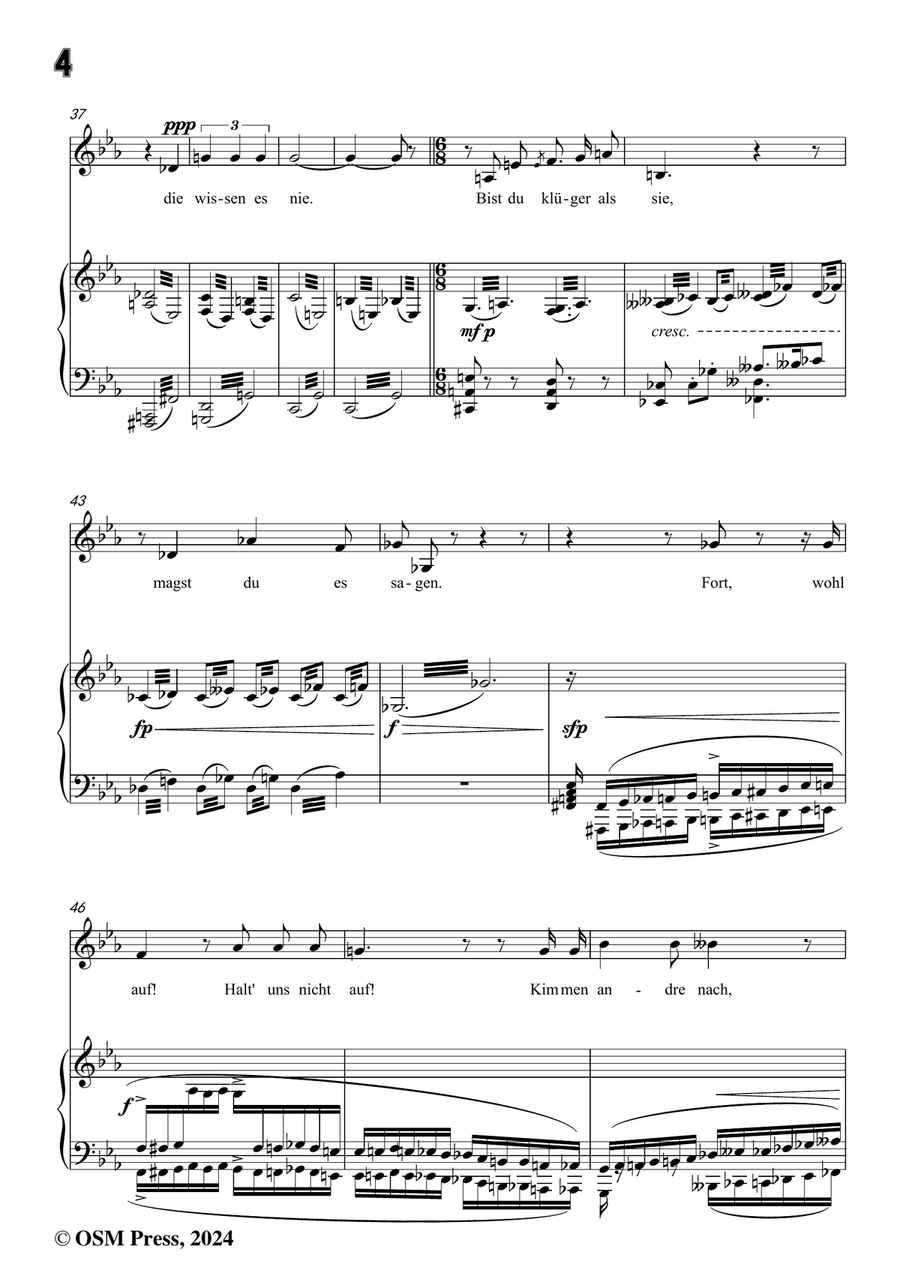 H. Wolf-Lied vom Winde,in c minor Piano, Vocal scores gallery preview page 6