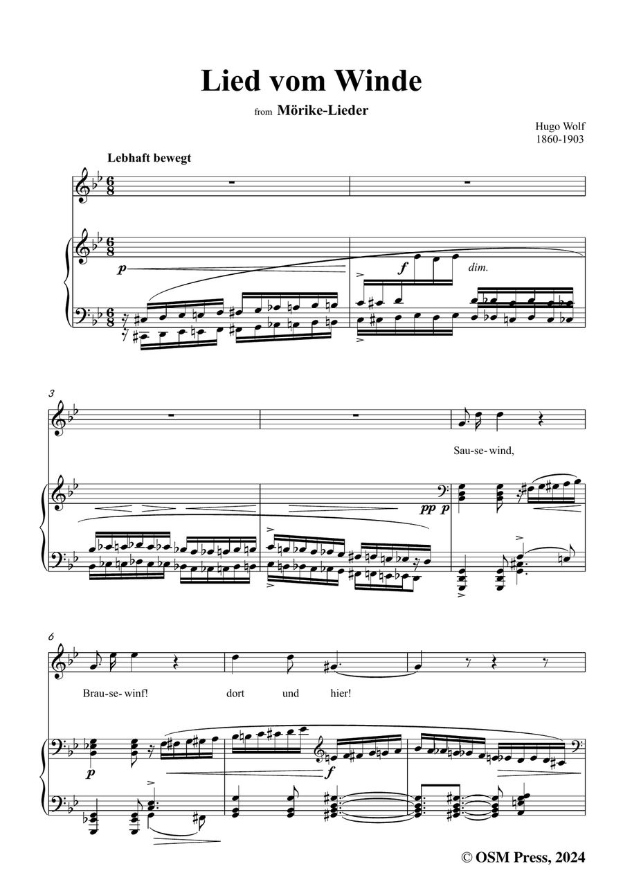 H. Wolf-Lied vom Winde,in g minor Piano, Vocal scores gallery preview page 3