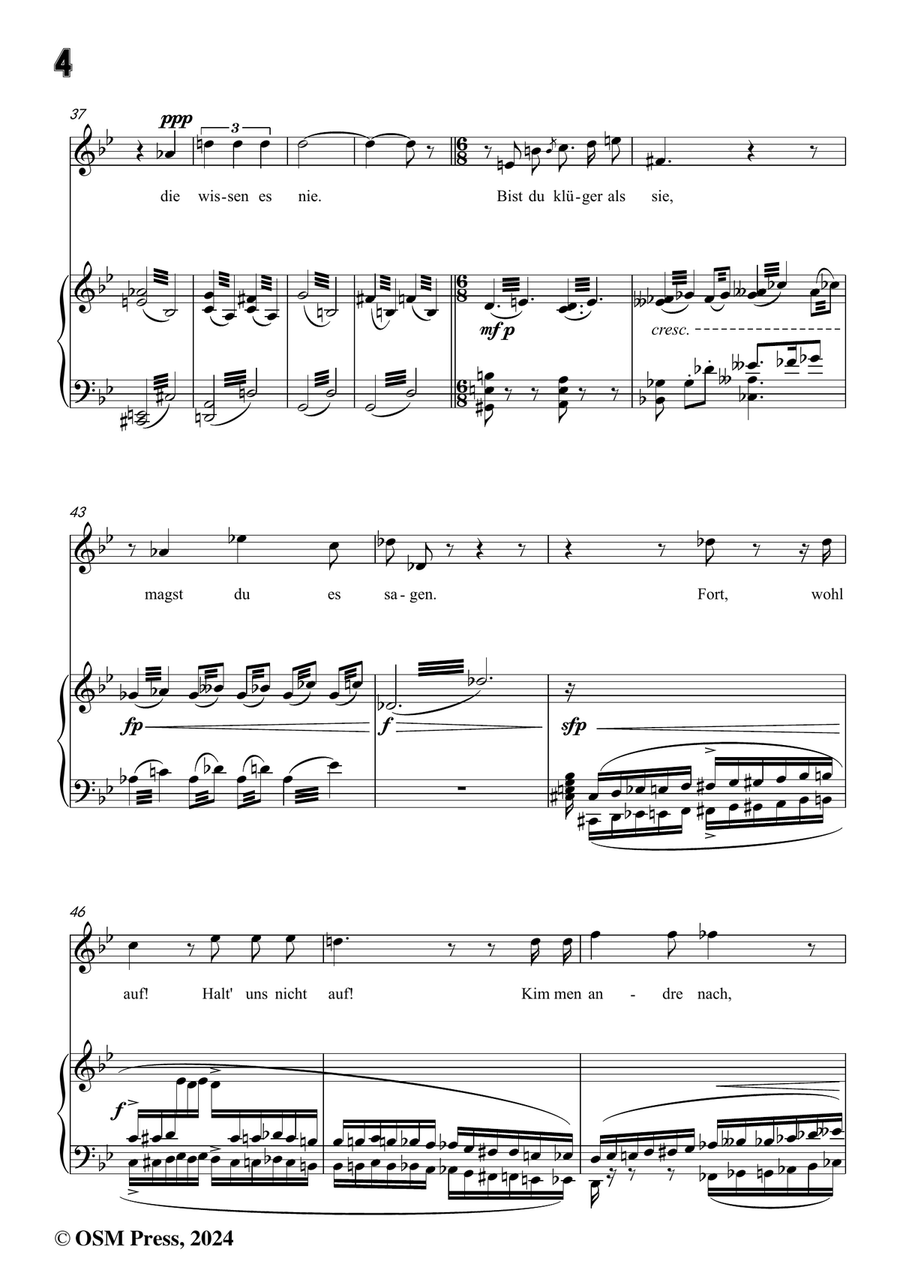 H. Wolf-Lied vom Winde,in g minor Piano, Vocal scores gallery preview page 6