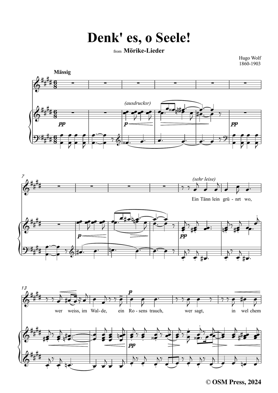 H. Wolf-Denk es,o Seele!in c sharp minor Piano, Vocal scores gallery preview page 3