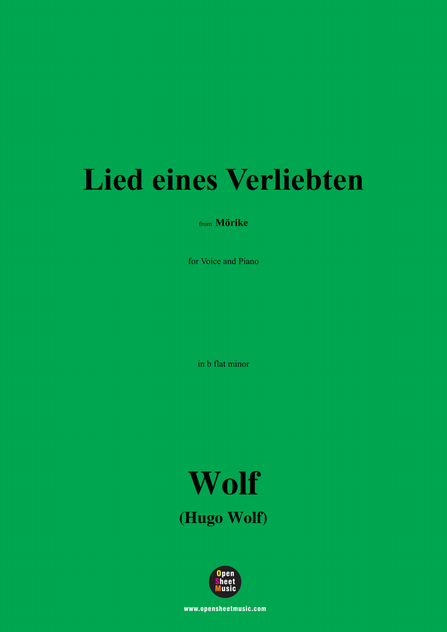H. Wolf-Lied eines Verliebten,in b flat minor Piano, Vocal scores gallery preview page 1