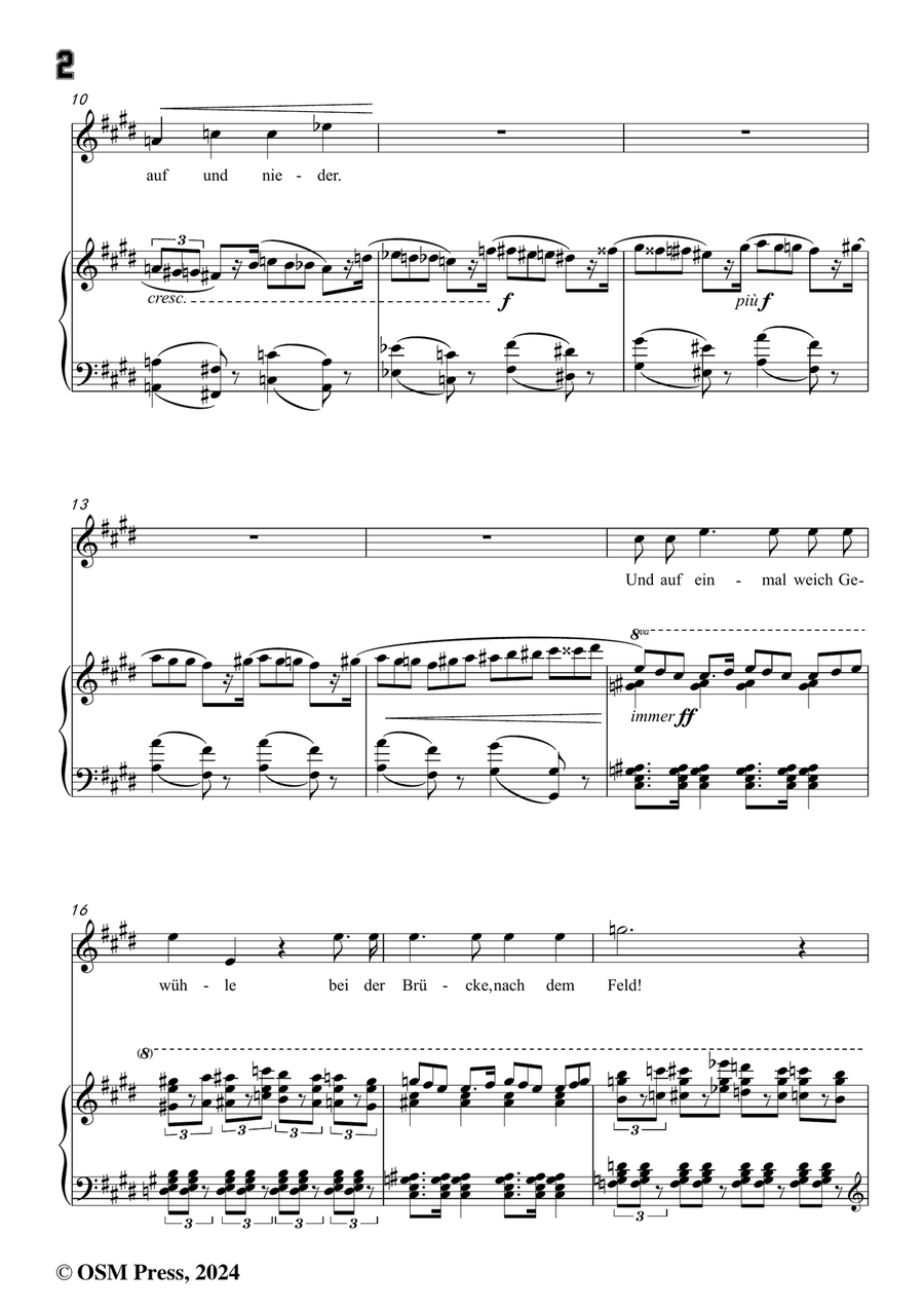 H. Wolf-Der Feuerreiter,in c sharp minor Piano, Vocal scores gallery preview page 4
