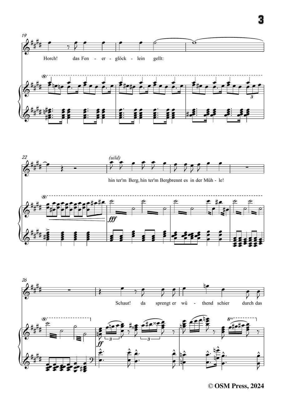 H. Wolf-Der Feuerreiter,in c sharp minor Piano, Vocal scores gallery preview page 5