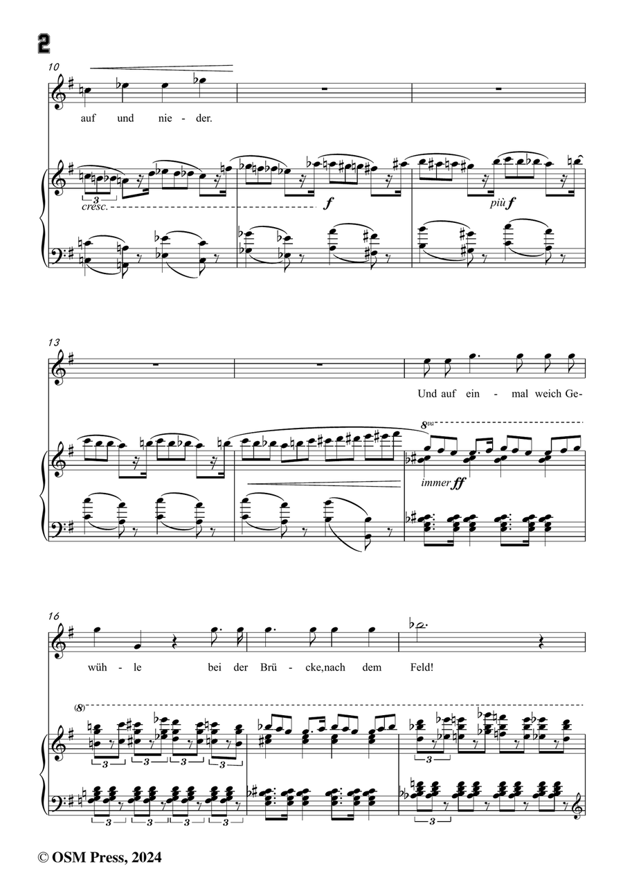 H. Wolf-Der Feuerreiter,in e minor Piano, Vocal scores gallery preview page 4