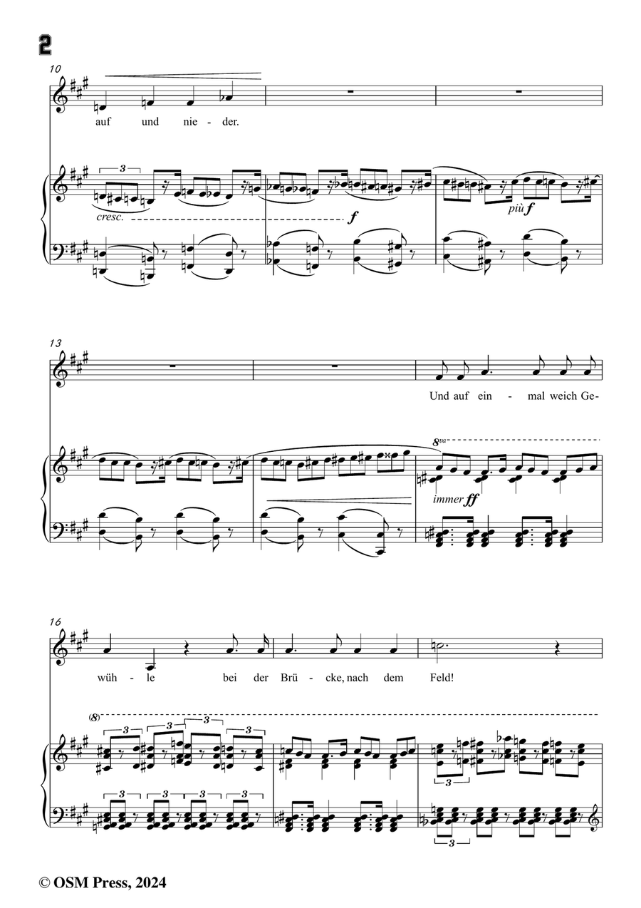 H. Wolf-Der Feuerreiter,in f sharp minor Piano, Vocal scores gallery preview page 4