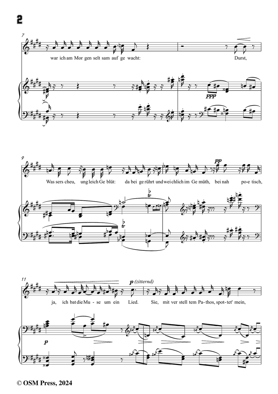 H. Wolf-Zur Warnung,in c sharp minor Piano, Vocal scores gallery preview page 4