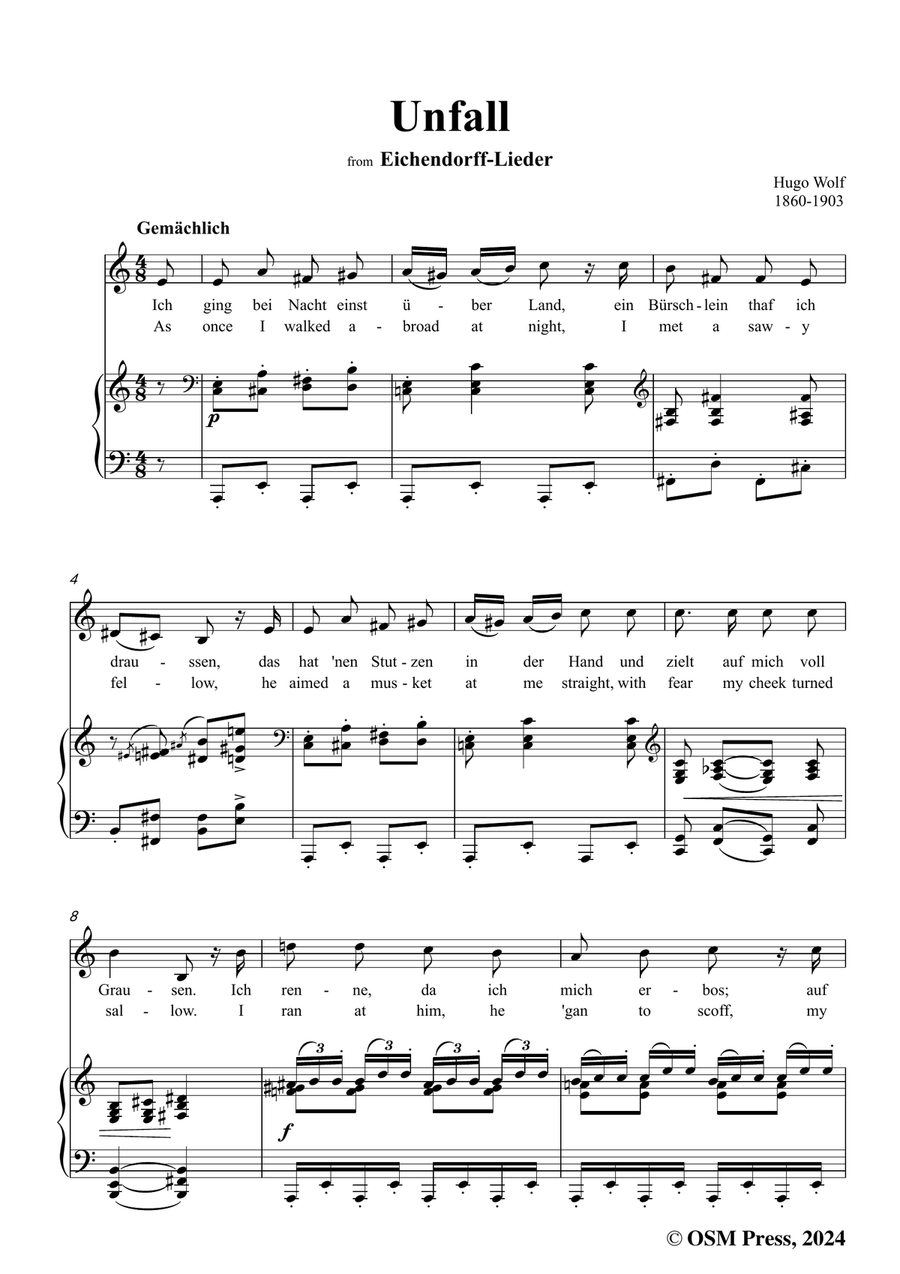 H. Wolf-Unfall,in a minor Piano, Vocal scores gallery preview page 3