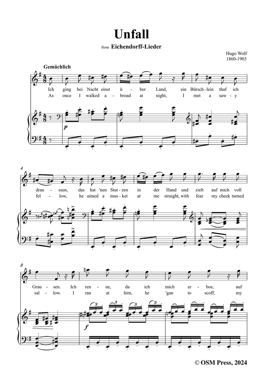 H. Wolf-Unfall,in e minor Piano, Vocal scores gallery preview page 3