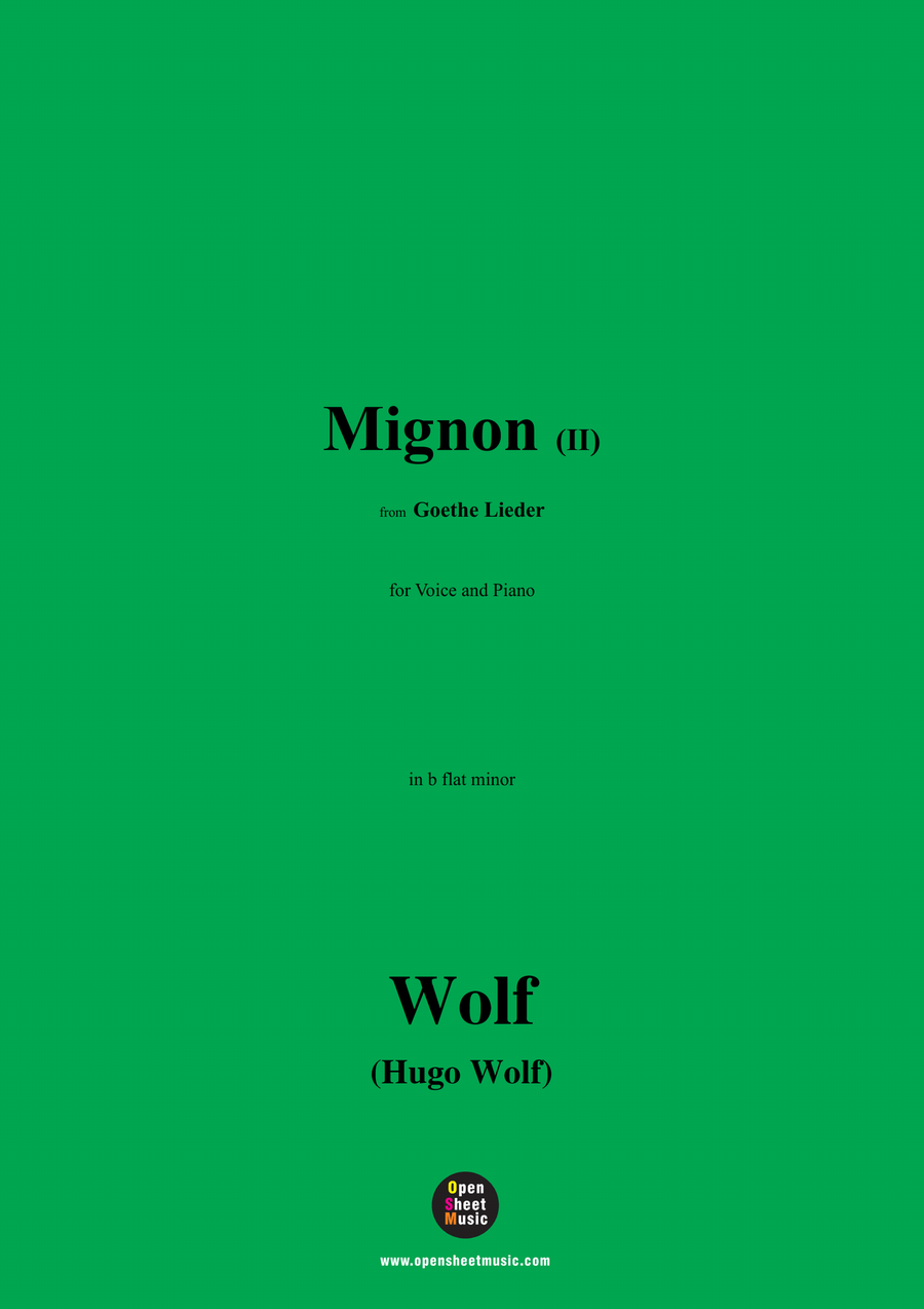 H. Wolf-Mignon II,in b flat minor Piano, Vocal scores gallery preview page 1