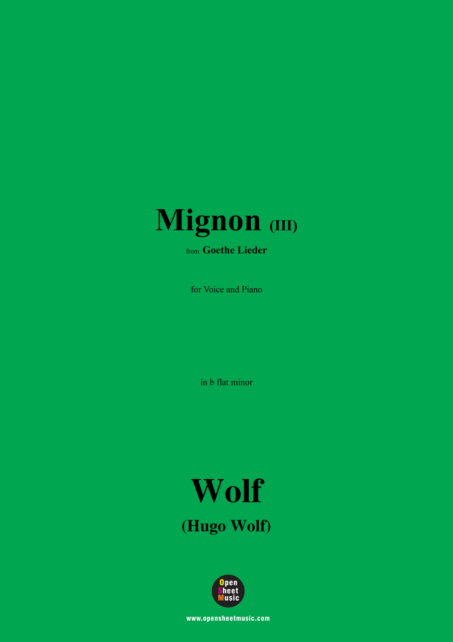 H. Wolf-Mignon III,in b flat minor Piano, Vocal scores gallery preview page 1