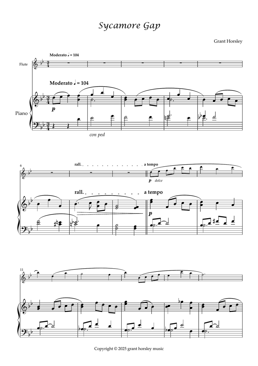 Sycamore Gap. Original for Flute and Piano Chamber Music scores gallery preview page 2