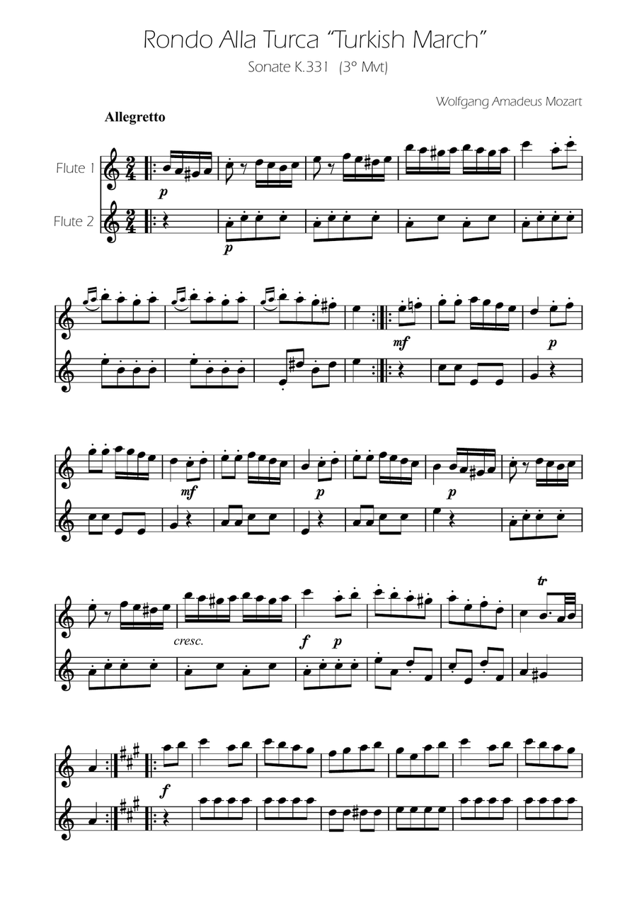 Turkish March - Flute Duet Flute Duet scores gallery preview page 1