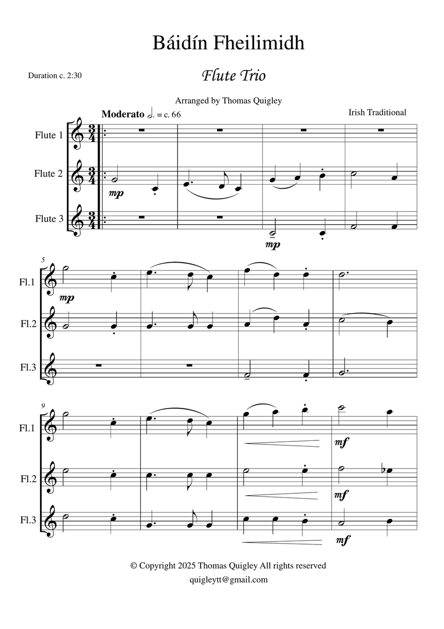 Báidín Fheilimidh Báidín Fheilimidh Flute Trio scores gallery preview page 2